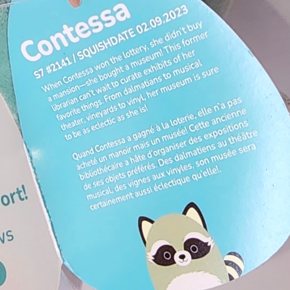 CONTESSA 🦝 FTM ☆ Green Racoon Original Squishmallow by Kelly Toy ☆》NWT《☆ - Picture 4 of 8